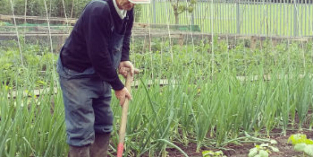 The garden at St Benedicts church