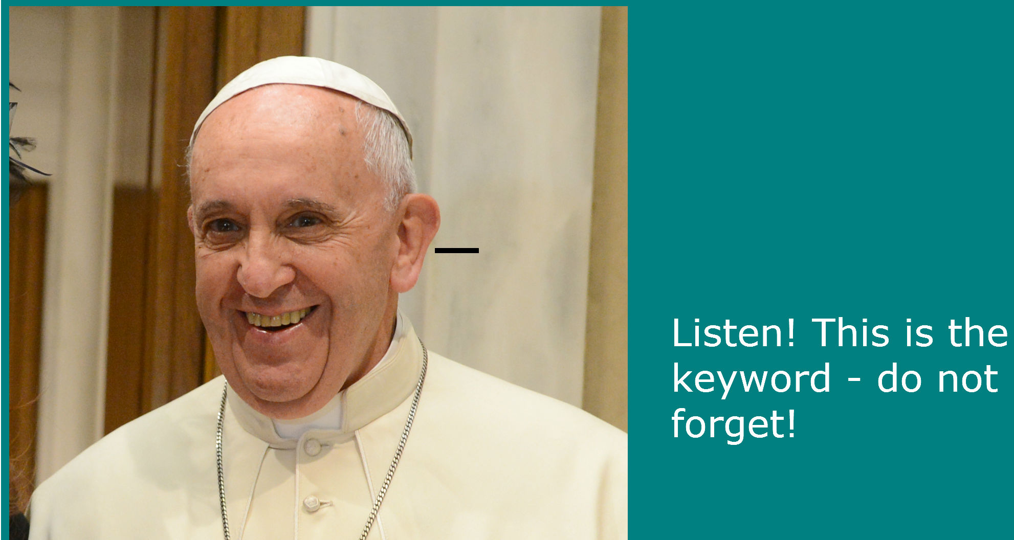 picture of Pope Francis