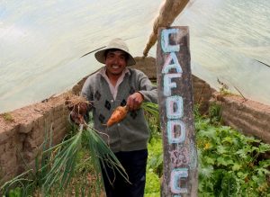 Bolivian farmer in greenhouse