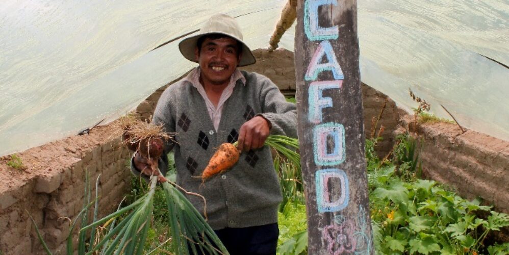 Bolivian farmer in greenhouse