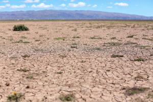 Bolivian land affected by drought