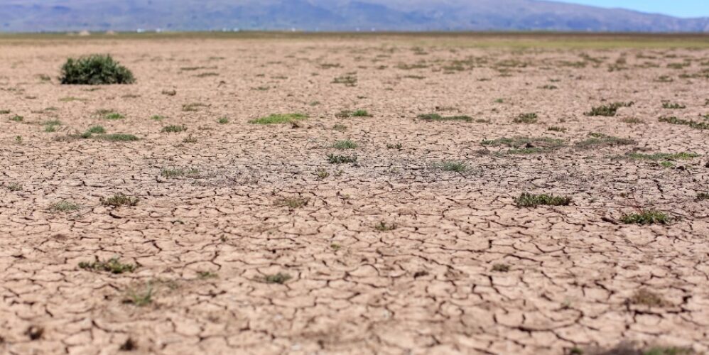 Bolivian land affected by drought