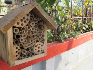 bee hotel