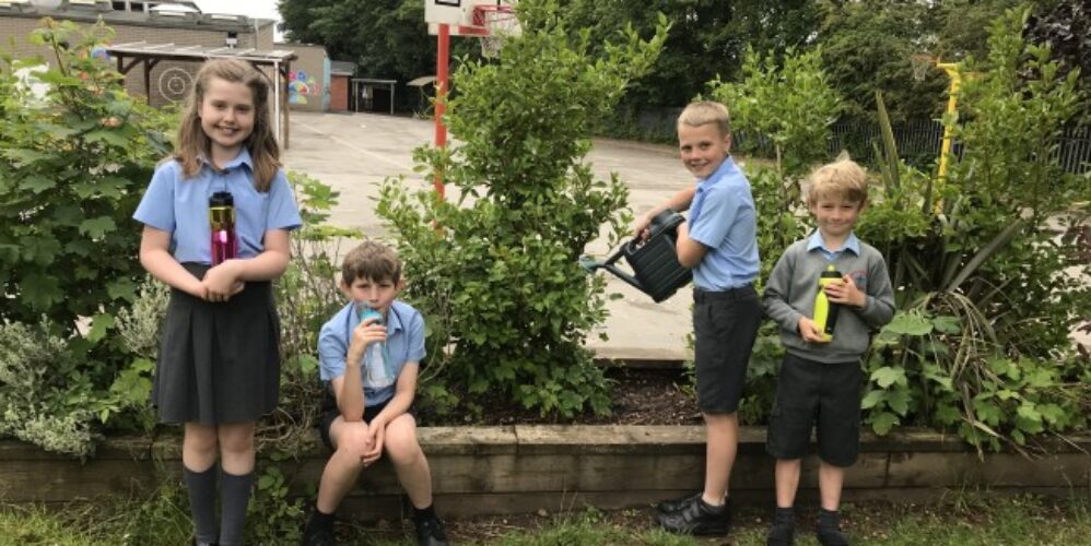 children in front of plants in garden