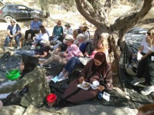 people sat under an olive tree