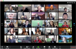 screenshot of zoom video conference