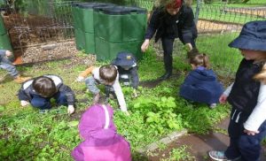 children at raised beds