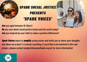 flyer for SPARK voices