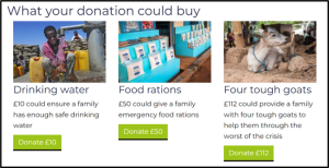 donation purchase examples