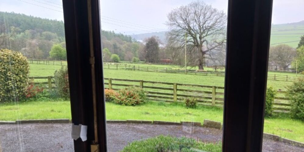 view through a window