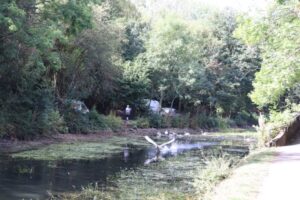 IMG_1165