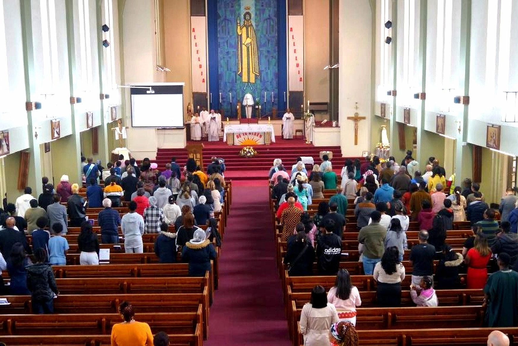 8bdae178-acec-46bf-9574-dc948cce2966